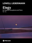 Elegy