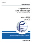 Largo molto: Like a Sick Eagle No. 1 from Orchestral Set No. 10