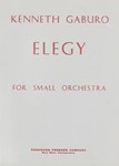 Elegy For Small Orchestra - Study Score