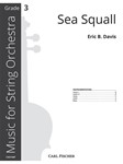 Sea Squall