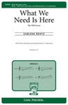 What We Need Is Here - The Wild Geese