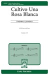 Cultivo Una Rosa Blanca