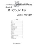 If I Could Fly