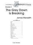 The Grey Dawn Is Breaking