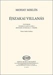 Ejszakai villanas
