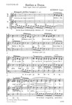 Szeles a Duna Folksong from J. Adam's collection