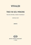 Trio in sol minore per liuto (chitarra), violino e violoncello RV 85