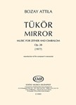 Mirror for zither and cimbalom