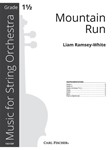 Mountain Run