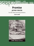 Promise