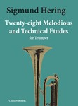 28 Melodious & Technical Etudes