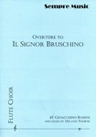 Il Signor Bruschino