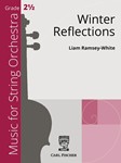Winter Reflections