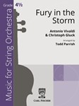 Fury in the Storm