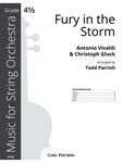 Fury in the Storm