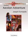 Aeolian Adventure - Orchestra Arrangement