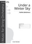 Under a Winter Sky