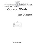 Canyon Winds