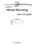 Velvet Morning