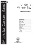 Under a Winter Sky