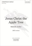 Jesus Christ The Apple Tree
