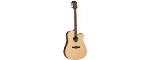 Tanglewood Discovery Series - DBT-DCE Natural Satin