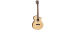 Tanglewood Discovery Series - DBT-SFCE Natural Satin