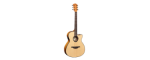 LAG Standard Range Auditorium Body Cutaway Electric