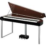 True piano sound in a modern, attractive grand piano shape cabinet. H11DB