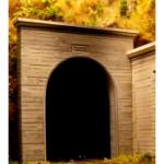 Chooch Enterpri CHO9720 N Single Concrete Tunnel Portal (2)