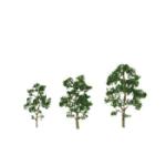 Jtt & Partners JTT92057 Premium Tree, Maple 3.5-4" (2)