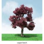 Jtt & Partners JTT92305 Pro-Elite Tree, Copper Beech 3-3.5" (2)