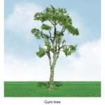 Jtt & Partners JTT92311 Pro-Elite Tree, Gum 3.5-4" (2)