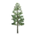 Jtt & Partners JTT94290 Professional Tree, Pine 1.5" (6)