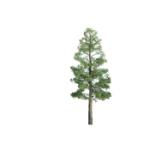 Jtt & Partners JTT94294 Professional Tree, Pine 4" (2)