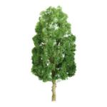 Jtt & Partners JTT94318 Professional Tree, Sycamore 3" (3)