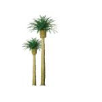 Jtt & Partners JTT94354 Professional Tree, Phoenix Palm 3" (3)