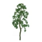 Jtt & Partners JTT94416 Professional Tree, Birch 2" (4)