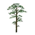 Jtt & Partners JTT94433 Professional Tree, Scots Pine 1.5" (6)