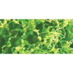 Jtt & Partners JTT95057 Coarse Foliage-Fiber Cluster, Light Green