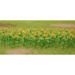 Jtt & Partners JTT95523 Sunflowers, 1" (16)