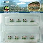 JTT Miniature T JTT95594 Primula Vialli Plants, 1/2" (32)