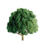 JTT Miniature T JTT96017 Professional Tree, Oak 5" (1)