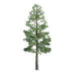 Jtt & Partners JTT96027 Professional Tree, Pine 8" (1)