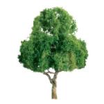 Jtt & Partners JTT96029 Professional Tree, Deciduous 5.5" (1)