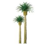 Jtt & Partners JTT96045 Professional Tree, Phoenix Palm 8" (1)