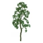 Jtt & Partners JTT96056 Professional Tree, Birch 6" (1)