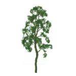 Jtt Scenery Pro JTT96057 Professional Tree, Birch 8" (1)