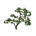 Jtt & Partners JTT96060 Professional Tree, Beech 5" (1)
