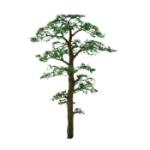 Jtt & Partners JTT96061 Professional Tree, Scots Pine 6" (1)